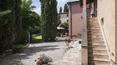 Toscana Immobiliare - The village consists of 13 functional and welcoming apartments, immersed in the characteristic elements of the Tuscan countryside. For a total of 900 sqm plus 100 sqm of warehouse