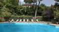 Toscana Immobiliare - Swimming pool of the property in Tuscany