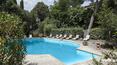 Toscana Immobiliare - Swimming pool of the property in Tuscany