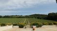 Toscana Immobiliare - Wine estate for sale in Tuscany, near the sea