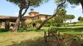 Toscana Immobiliare - Villa with garden