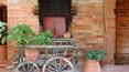 Toscana Immobiliare - wood oven features