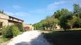Toscana Immobiliare - The property consists of four stone faceted buildings of a total of 1600 sqm with spacious relax area, pool, gardens, pine forests, groves and orchards.