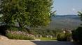 Toscana Immobiliare - The property is composed of several buildings placed on 79 hectares of land and gardens.