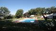 Toscana Immobiliare - villa with swimming pool