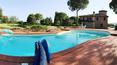 Toscana Immobiliare - large swimming pool