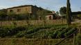 Toscana Immobiliare - houses for sale tuscany