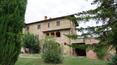 Toscana Immobiliare - Green garden and garage of the house
