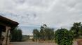 Toscana Immobiliare - Panoramic terrac from the house
