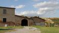 Toscana Immobiliare - Podere in vendita in Toscana, Asciano, Siena