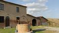 Toscana Immobiliare - Tuscan Farm with land for sale in Siena, Asciano