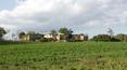 Toscana Immobiliare - siena real estate