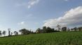 Toscana Immobiliare - italian houses sale