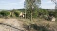 Toscana Immobiliare - real estate for sale to restore