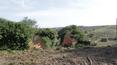 Toscana Immobiliare - The property consists of five houses, 3 outbuildings and a small church