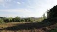 Toscana Immobiliare -  The land stretches for about 8 hectares, used as arable land and forest.