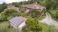 Toscana Immobiliare - The property includes 2300 sq m. of land with about 45 olive trees. It is possible to build a swimming pool