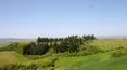 Toscana Immobiliare - The property offers 450 hectares of land with inside 9 extraordinary rural farms destined to become