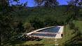 Toscana Immobiliare - Pool of the village