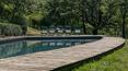 Toscana Immobiliare - Pool of the village