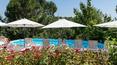 Toscana Immobiliare - swimming pool of 11x 5.5