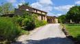 Toscana Immobiliare - The property consists of four stone faceted buildings of a total of 1600 sqm with spacious relax area, pool, gardens, pine forests, groves and orchards