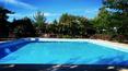 Toscana Immobiliare - Pool