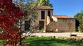 Toscana Immobiliare - The property consists of four stone faceted buildings of a total of 1600 sqm with spacious relax area, pool, gardens, pine forests, groves and orchards.