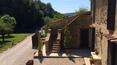 Toscana Immobiliare - The property consists of four stone faceted buildings of a total of 1600 sqm with spacious relax area, pool, gardens, pine forests, groves and orchards.