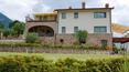 Toscana Immobiliare - Villa see view for sale in Camaiore