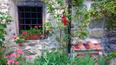 Toscana Immobiliare - Historic building for sale in Massa Carrara, Tuscany