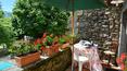 Toscana Immobiliare - Historic building for sale in Massa Carrara, Tuscany