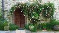 Toscana Immobiliare - Historic building for sale in Massa Carrara, Tuscany