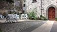 Toscana Immobiliare - Historic property for sale in Massa Carrara, Tuscany