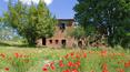 Toscana Immobiliare - The farmhouse in very good structural condition and is spread over 500 sqm