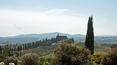 Toscana Immobiliare - winery for sale italy
