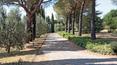 Toscana Immobiliare - siena estate