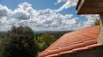Toscana Immobiliare - tuscan properties