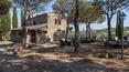 Toscana Immobiliare - real estate for sale