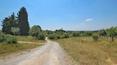 Toscana Immobiliare - house in tuscany