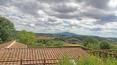 Toscana Immobiliare - Exclusive property, situated in the beautiful Tuscan countryside