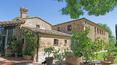 Toscana Immobiliare - Villa Farm For sale in Trequanda, Siena