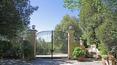 Toscana Immobiliare - Entrance with boulevard of the farmhouse for sale in tuscany, Siena