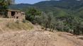 Toscana Immobiliare - Property with vineyard for sale in Tuscany Arezzo