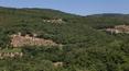 Toscana Immobiliare - Azienda agricola in vendita Arezzo