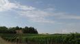 Toscana Immobiliare - Real estate in Tuscany