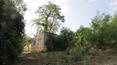 Toscana Immobiliare - Real estate with annex and private park in Tuscany
