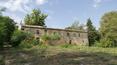 Toscana Immobiliare - Property house in countryside to Montepulciano