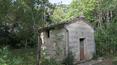 Toscana Immobiliare - Little chapel of the property