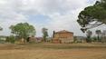 Toscana Immobiliare - Casale da restaurare in vendita a montepulciano, Siena